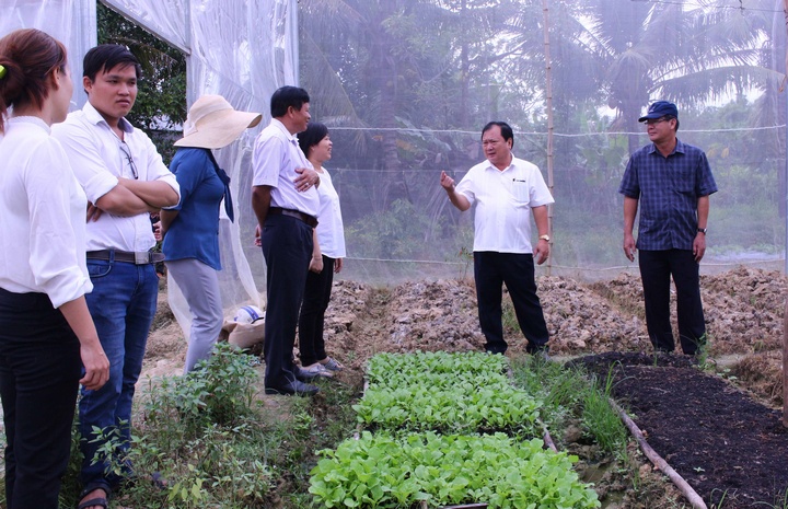 Tham quan mô hình trồng rau an toàn trong nhà lưới của anh Nguyễn Minh Vũ