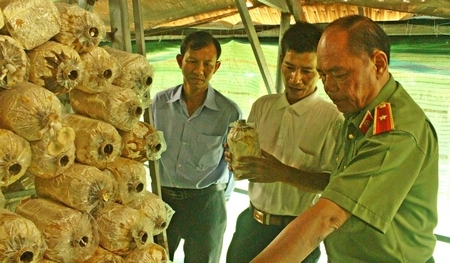 Vượt qua khó khăn, anh Trung (giữa) đã thành công trong việc phát triển mô hình trồng nấm bào ngư xám.
