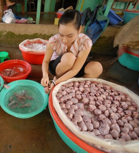 Thịt chuột được làm sạch để giao đến các chợ