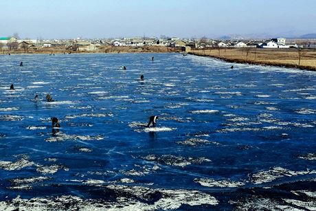 Người dân Triều Tiên câu cá dưới lớp băng gần Sinuiju vào ngày 14/1/2014.