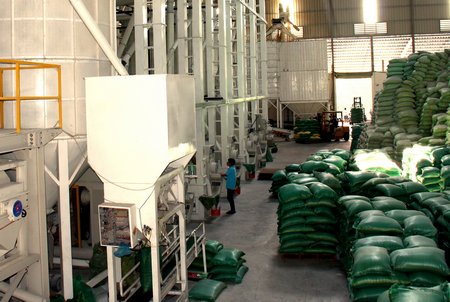 Hiện sản phẩm gạo của Công ty Phước Thành IV đã có mặt ở các thị trường trong nước và đang xúc tiến ký kết với đối tác Trung Quốc phân phối tại thị trường này