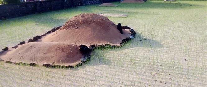 Những ngôi mộ gió trên đảo Lý Sơn nằm giữa những ruộng tỏi