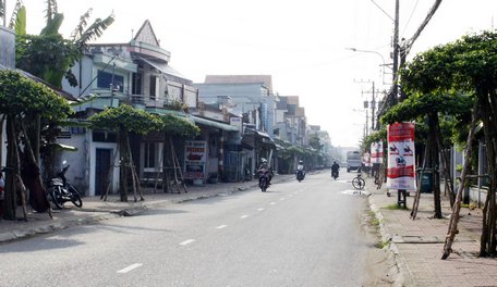 Cây xanh hình dù ở thị trấn Tam Bình là một điểm nhấn mới.