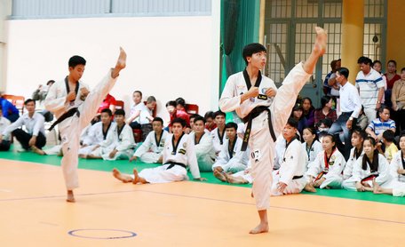 Các thí sinh tham dự kỳ thi nâng đai- đẳng cấp Taekwondo với đòn chân căn bản.