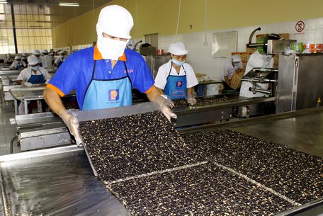 Doanh nghiệp, cơ sở sản xuất bánh mứt tết đang tăng tốc để kịp đón tết.