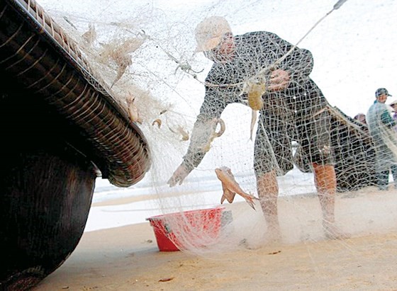 Khéo léo gỡ cá hạn chế rách lưới