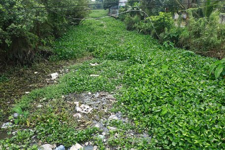 Lục bình, rác thải ứ đọng trên dòng kinh tại khu vực ấp Phú Lợi (xã Song Phú).