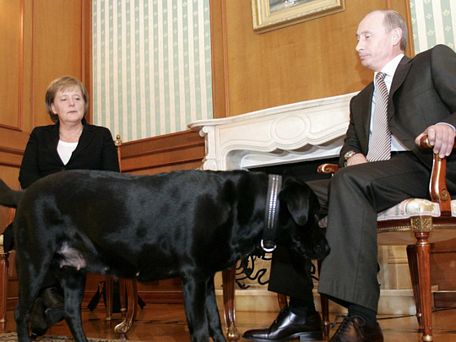 Con chó Koni xuất hiện cùng với Tổng thống Putin trong một buổi tiếp Thủ tướng Đức Angela Merkel. Ảnh: REUTERS