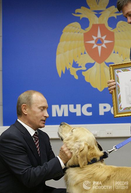  Ông Putin nựng một con chó cứu nạn của Bộ Tình huống Khẩn cấp Nga. Ảnh: RIA NOVOSTI