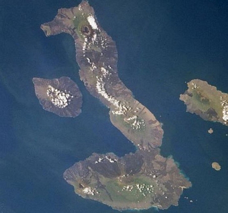 Đảo Isabela (Ecuador) là đảo lớn và đặc biệt nhất trong quần đảo Galapagos với hình dáng giống cá ngựa - Ảnh: Alamy