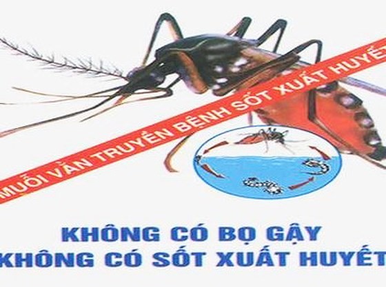 Người dân cần chủ động diệt muỗi, lăng quăng để phòng tránh SXH