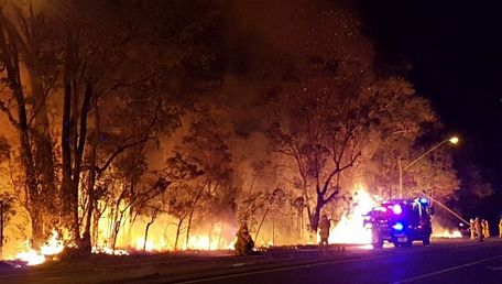 Lực lượng chữa cháy nỗ lực khống chế một đám cháy rừng bùng phát dữ dội. (Nguồn: AFP)