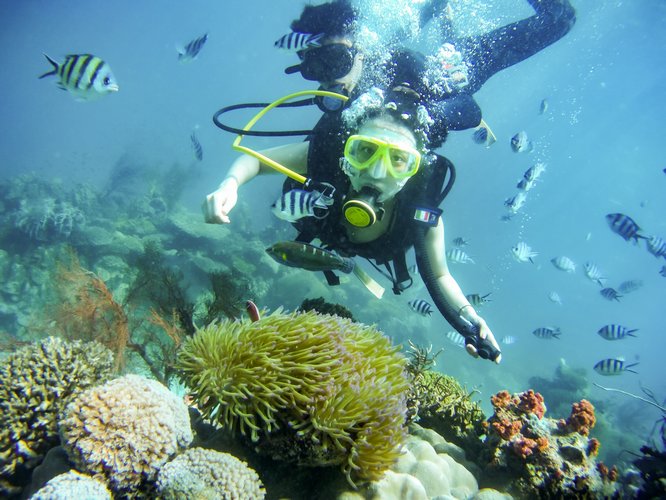 Ngắm san hô dưới đáy biển  và săn cá là một cuộc phiêu lưu kỳ thú khi hàng đàn cá đủ màu sắc bơi lội xung quanh và những rạn san hô đẹp như cổ tích