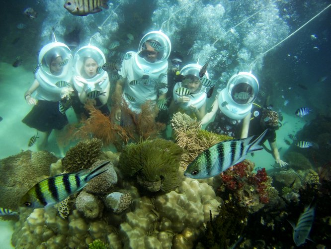 Đến hòn Dăm Ngang có dịch vụ lặn biển ngắm  san hô cực kỳ thú vị, du khách được đeo bộ thiết bị lặn cung cấp oxy và có thợ lặn đeo bình dưỡng khí đi kèm từng người nên rất an toàn  