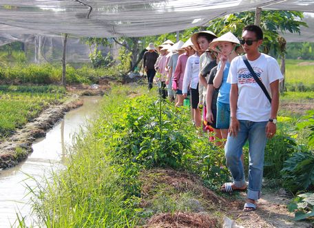 Đoàn tham quan vườn rau trong nhà lưới ở ấp Phước Hanh A (xã Phước Hậu- Long Hồ).