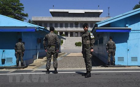 Binh sỹ Hàn Quốc gác tại khu vực phi quân sự ở làng đình chiến Panmunjom giữa hai miền Triều Tiên ngày 11/4. (Nguồn: AFP/TTXVN)