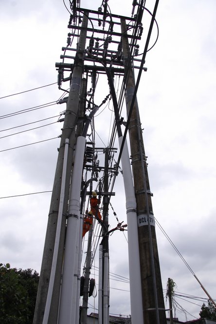  Điện lực Bình Tân phát quang hành lang an toàn lưới điện.