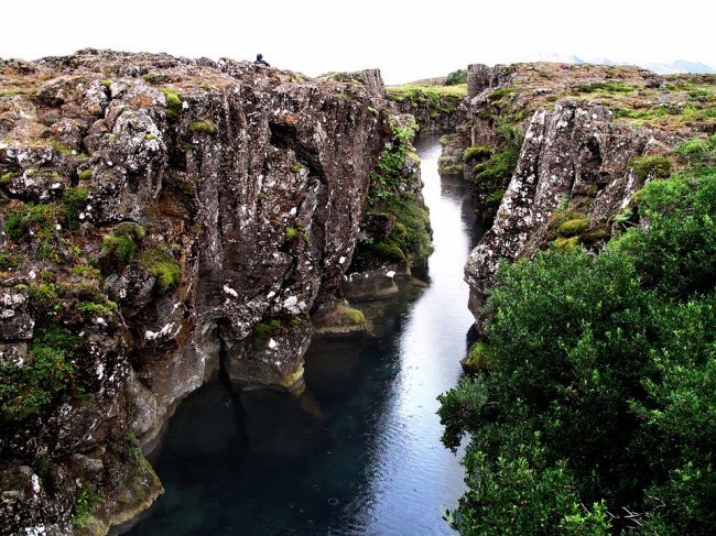 Dòng sông chảy giữa hai vách đá phủ đầy rêu trong vườn quốc gia Þingvellir ở Iceland.