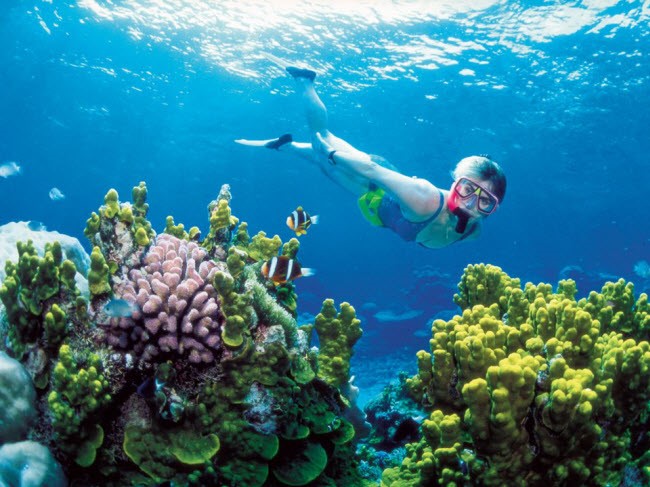 Nữ du khách lặn khám phá rạn san hô Great Barrier ở ngoài khơi bờ biển Australia.