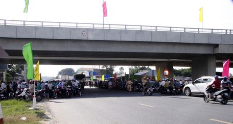 Người dân không ngại chờ đợi để được chiêm ngưỡng cây cầu đẹp bắc qua sông Tiền thuộc địa phận tỉnh Đồng Tháp.