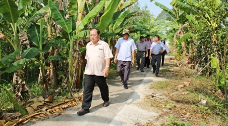 Phó Bí thư Tỉnh ủy, Chủ tịch UBND tỉnh- Nguyễn Văn Quang kiểm tra thực tế xây dựng NTM tại xã Phú Thành.