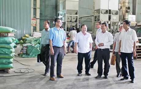 Phó Bí thư Tỉnh ủy, Chủ tịch UBND tỉnh- Nguyễn Văn Quang (đứng giữa) khảo sát thực tế tại nhà máy của công ty.