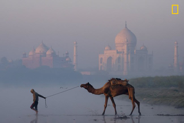 Khung cảnh sương sớm bao phủ sông Yamuna và ngôi đền Taj Mahal nổi tiếng ở Ấn Độ. Ảnh: Mike Watson