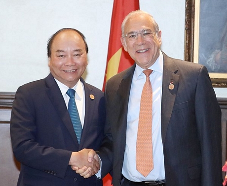 Thủ tướng Nguyễn Xuân Phúc và Tổng Thư ký Tổ chức hợp tác Kinh tế Phát triển (OECD)
