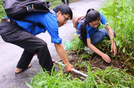 Đoàn viên tham gia trồng cây xanh