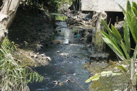 Theo người dân, nước thải màu đen ngòm có mùi hôi lạ, không phải nước thải sinh hoạt bình thường. Nước thải từ con rạch còn chảy trực tiếp ra sông gây ô nhiễm trầm trọng hơn.
