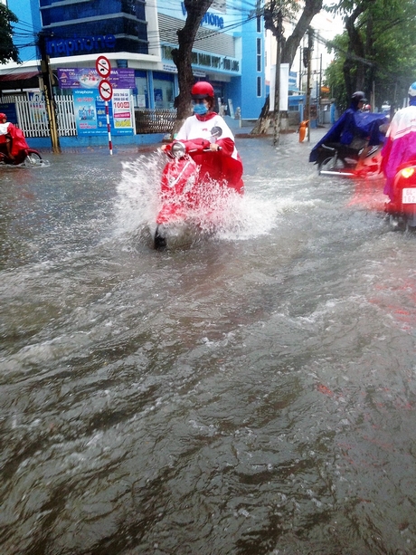 Đường phố nội ô TP Vĩnh Long hễ mưa là biến thành sông.