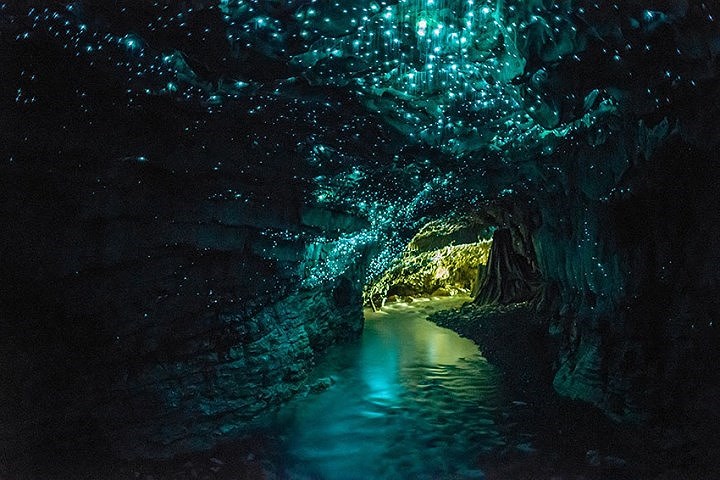 Hang động đom đóm Waitomo, New Zealand khiến du khách ngỡ như lạc vào xứ sở kỳ ảo với thứ ánh sáng xanh phát ra từ hàng nghìn con đom đóm bên trong động.