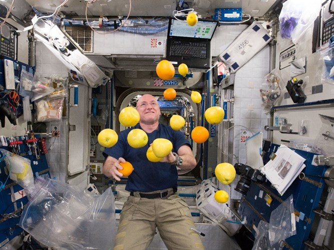Những thứ được mang vào không gian vô cùng đắt đỏ: Thậm chí một quả chanh trong không gian cũng có giá lên tới 2000 USD.
