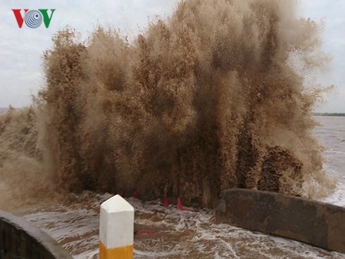 Sóng đánh sụp đổ nhiều đoạn kè đê biển ở Gành Hào, Bạc Liêu.