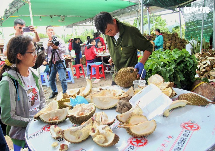 Khách được ăn sầu riêng thỏa thích tại chỗ với giá 19.000 đồng mỗi ký - Ảnh: MẬU TRƯỜNG