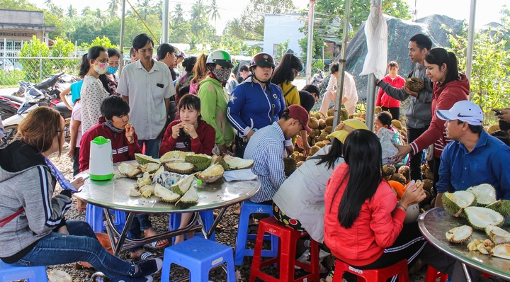 Bình quân mỗi ngày vựa cây Lộc Ngân tiếp đón hơn 1.000 thực khách đến ăn sầu riêng.