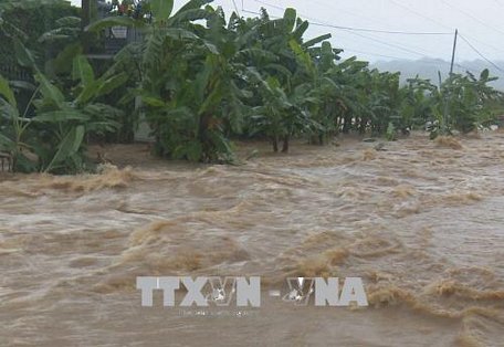 Mưa liên tục khiến nước dâng cao tại huyện Mộc Châu (Sơn La), làm ngập úng cục bộ và gây thiệt hại về tài sản, hoa màu của người dân. Ảnh: TTXVN phát