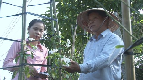 Anh Lộc chia sẻ kinh nghiệm trồng hoa hồng với khách tham quan.