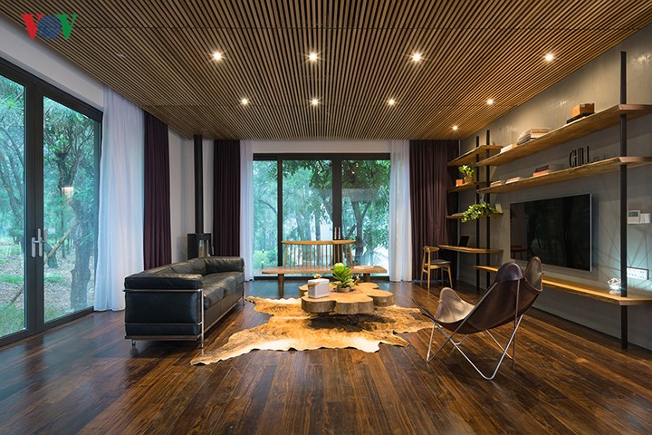 Phòng khách ở tầng 1 ấm áp với sàn gỗ và trần gỗ, có những khoảng mở lớn ra rừng thông bao quanh.