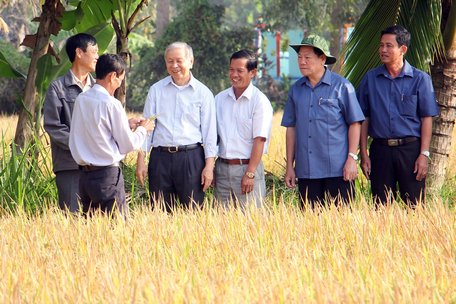 Mô hình HTX sản xuất lúa sạch tại xã Mỹ Lộc nhận được sự quan tâm của lãnh đạo tỉnh.