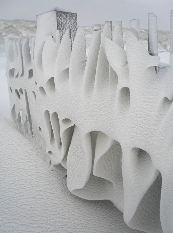 Một “tác phẩm nghệ thuật” của thiên nhiên khi tuyết bám trên hàng rào một ngôi nhà ở Hà Lan sau một đêm mùa đông lạnh giá
