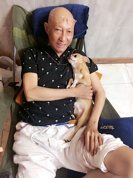 Hình ảnh Lê Bình rụng tóc vì xạ trị ung thư khiến nhiều người xót xa.