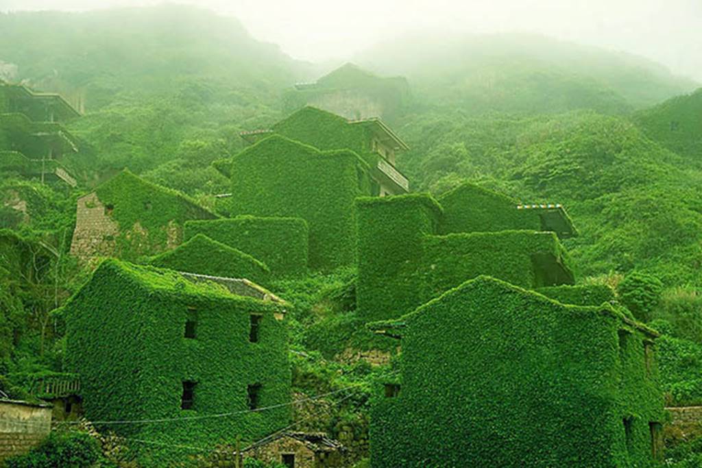 7.Làng Gouqi, Trung Quốc-       Ngôi làng này trước đây từng là một nơi rất thịnh vượng, nhưng do vị trí địa lý bất tiện nên người dân đã di cư đến nơi khác. Sau nhiều thế ký bị bỏ hoang, vào năm 2015, một bức ảnh chụp lại ngôi làng bị rêu bao phủ xanh mướt tuyệt đẹp khiến cho nơi này trở nên nổi tiếng.