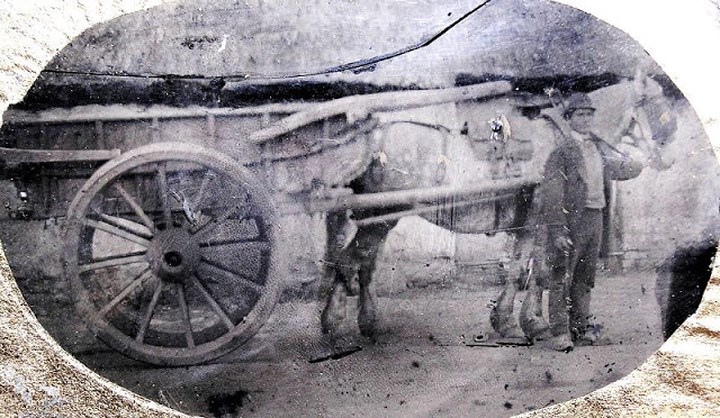 Một người nông dân chụp ảnh bên chiếc xe ngựa vào những năm 1880.