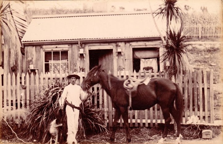 Một nông dân trồng mía ở Queensland, Australia năm 1890.