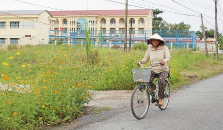 Sau khi về đích nông thôn mới, cảnh quan nông thôn xã Phước Hậu được quan tâm nâng chất.