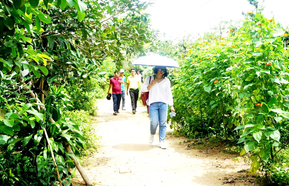 Du khách đi bộ trên đường làng cù lao An Bình