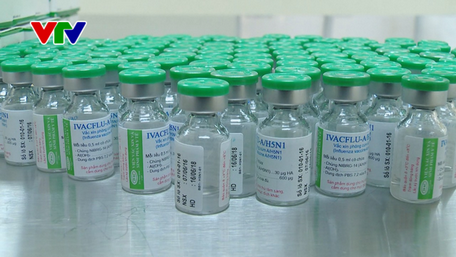 Hai vắc-xin phòng cúm mùa và cúm A/H5N1 của Việt Nam an toàn