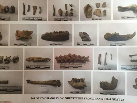  Hình ảnh một số mẫu vật mới nhất được tìm thấy ở hang động núi lửa Krông Nô. Ảnh: P.Đ.