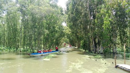 Rừng tràm Trà Sư có diện tích 845ha vùng lõi và 643ha vùng đệm nằm trong hệ thống các khu rừng đặc dụng của Việt Nam.